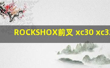 ROCKSHOX前叉 xc30 xc32前叉